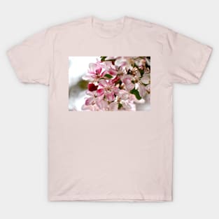 Cherry Blossoms T-Shirt